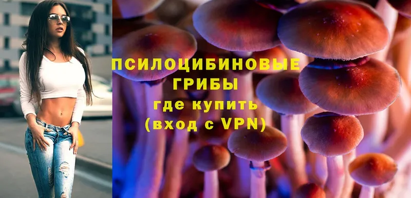 ОМГ ОМГ как зайти  Бирюсинск  Галлюциногенные грибы Psilocybe 